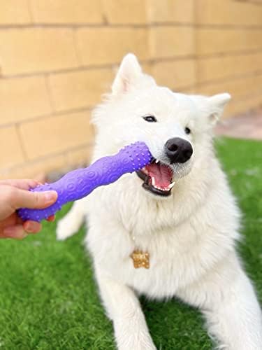 Yomp ToothBuddy паста за дъвчене стоун за кучета - Дъвка пръчка, предназначена за безопасни игри с домашни животни, е направена от средни видоизменен и действително нетокс